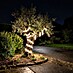 Eglo LED svjetlosna traka Collepasso 
