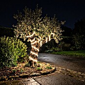 Eglo LED svjetlosna traka Collepasso  (Temperatura boje: 2.700 K, 25 m, IP65) | BAUHAUS