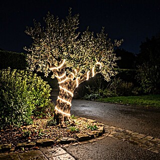 Eglo LED svjetlosna traka Collepasso (Temperatura boje: 2.700 K, 25 m, IP65)