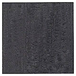Futura by Palazzo Vloertegel (60 cm x 60 cm x 9 mm, Glanzend, Gepolijst antraciet, Gekalibreerd)