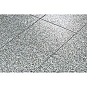 Plošča iz naravnega kamna Bianco Cordo  (30,5 x 30,5 cm, Sive barve, Sijaj, Polirana) | 4321 - Granit BiancoC.(Platten+Formteile) | EAFH - Natursteinplatten | EAF - Fliesen | EA - Fliesen | E - Fliesen | BAUHAUS