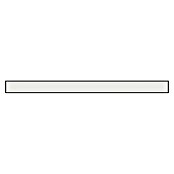 REV LED-Lichtleiste Bürobeleuchtung (L x B x H: 59,5 x 5 x 7,5 cm, Lichtfarbe: Neutralweiß, 24 W, 230 V) | BAUHAUS