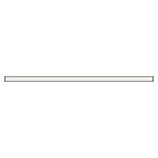 REV LED-Lichtleiste Bürobeleuchtung (L x B x H: 148,5 x 5 x 7,5 cm, Lichtfarbe: Neutralweiß, 40 W, 230 V) | BAUHAUS