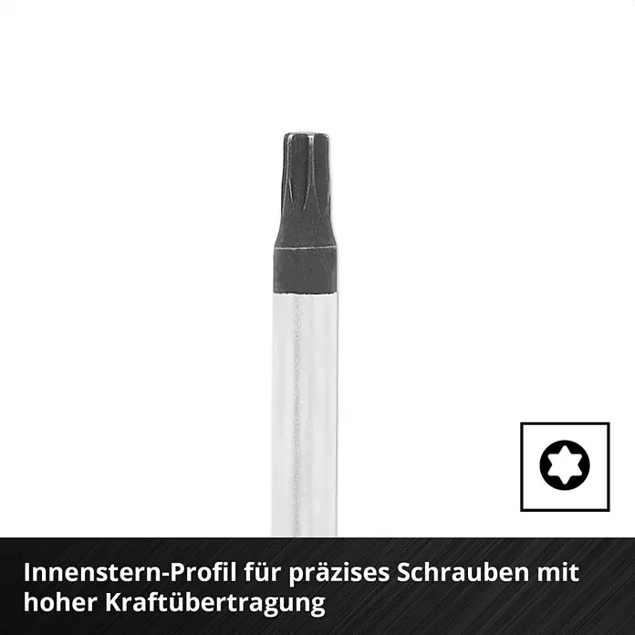 Einhell Werkzeugsatz-Einlage E-Case Schraubendreher - 17 -tlg. - Schrauberbit mit Innenstern-Profil für präzises Schrauben und hohe Kraftübertragung.