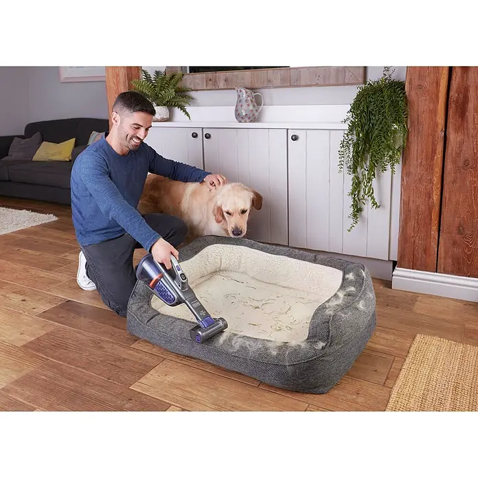 Black+Decker Aspirador de mano de batería GEN 11 - 18 V, 2 Ah, Volumen de recipiente: 700 ml - Hombre arrodillado, usando una aspiradora de mano gris y morada para limpiar pelo de mascota de una cama para perros, con un golden retriever observando.