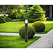 Globo Außensockelleuchte Mervin (15 W, Farbe Gehäuse: Anthrazit, 102 x 102 x 1 010 mm, Ohne Leuchtmittel) | BAUHAUS