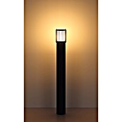 Globo Außensockelleuchte Mervin (15 W, Farbe Gehäuse: Anthrazit, 102 x 102 x 1 010 mm, Ohne Leuchtmittel) | BAUHAUS