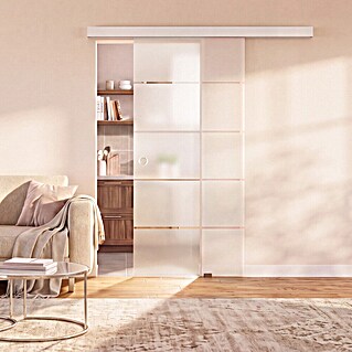 Diamond Doors Schiebetür-Komplettset Jubidoor 6.1 Premium (935 x 2 058 mm, Silber, Einscheibensicherheitsglas (ESG))