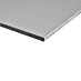 Fermacell Powerpanel H2O Zementfaserplatte 