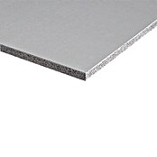 Fermacell Powerpanel H2O Zementfaserplatte (1.250 x 1.000 mm, Stärke: 12,5 mm)