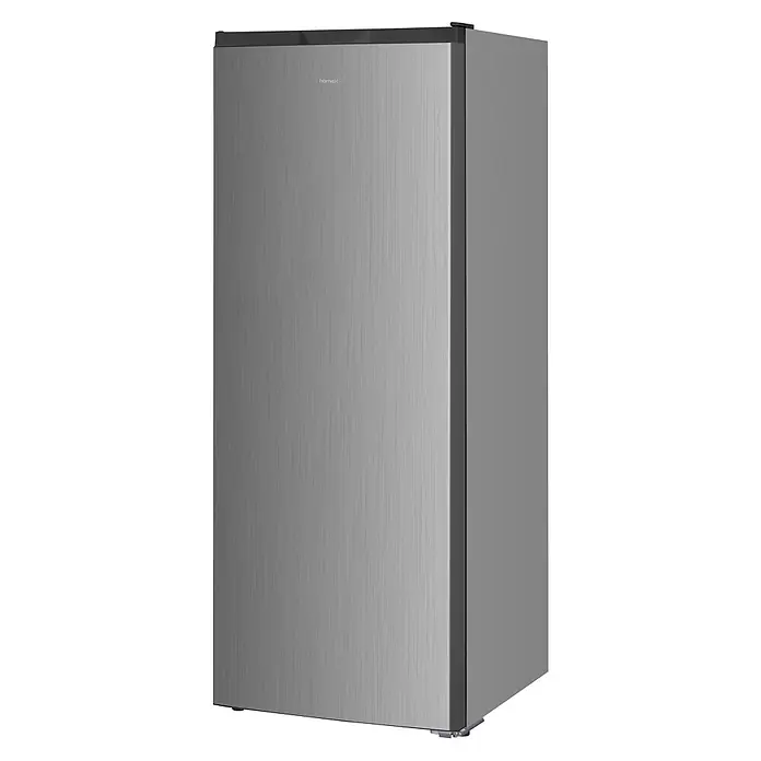 homeX Tiefkühlschrank FSN1611E-S - Nutzinhalt Gesamt: 161 l, 60 cm x 540 mm x 1.430 mm, Silber