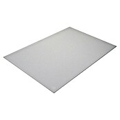 Fermacell Gipsvezelplaat (1.500 x 1.000 mm, Dikte: 10 mm)