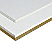 Fermacell Estrichelement 2E32 