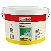 Probau eco Duschdichtanstrich (4 kg, Lösemittelfrei)