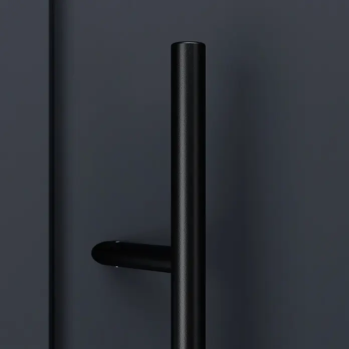 FM Türen Haustür - 110 x 210 cm, DIN Anschlag: Links, Anthrazit, Mit vertikaler Verglasung + Zierapplikationen - Mattschwarzer, texturierter Stangengriff.