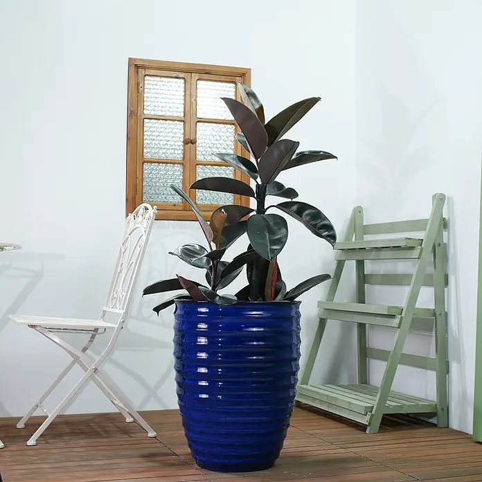 SONNENH Pflanztopf - 1 Stk., Außenmaß (Ø x H): 42 x 54 cm, Keramik, Blau - Großer, tiefblauer geriffelter Keramiktopf mit einer dunkelgrünen Pflanze.
