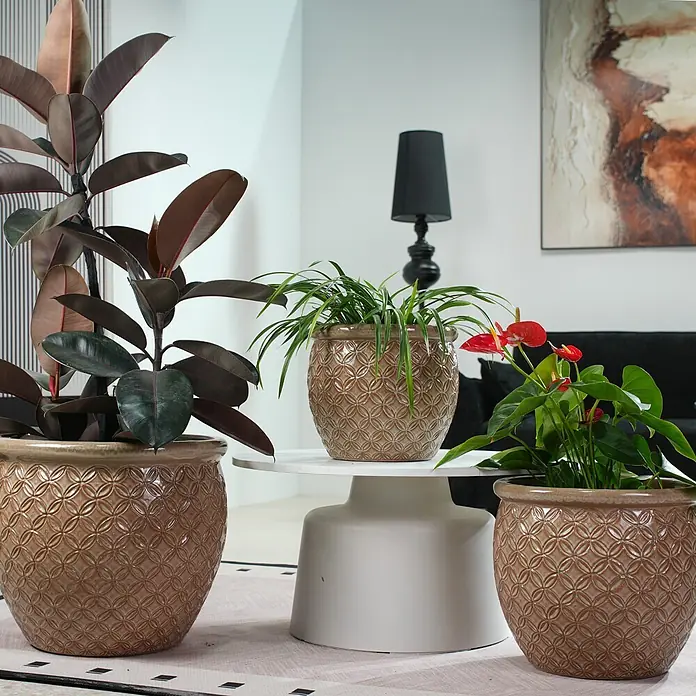 SONNENH Pflanztopf - 3 Stk., Keramik, Beige - Drei braune Keramik-Pflanzgefäße mit geprägten Kreismustern, die Pflanzen in einem Wohnzimmer enthalten.