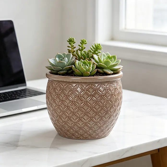 SONNENH Pflanztopf - 1 Stk., Keramik, Beige - Brauner Keramiktopf mit geprägtem geometrischem Muster, gefüllt mit verschiedenen Sukkulenten, neben einem Laptop.