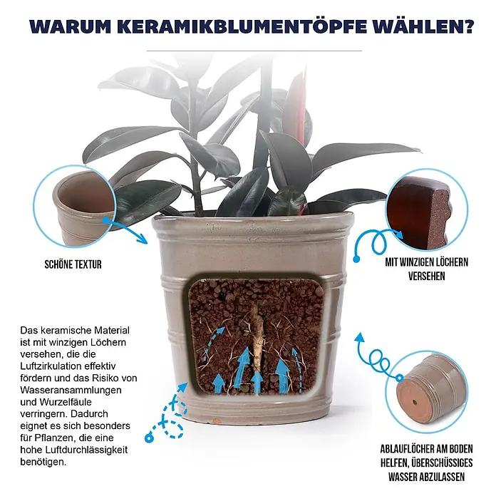 SONNENH Pflanztopf - 3 Stk., Keramik, Braun - Natürlicher Keramikblumentopf mit Pflanze, hebt poröse Textur und Drainagelöcher für gesunde Wurzelbelüftung hervor.