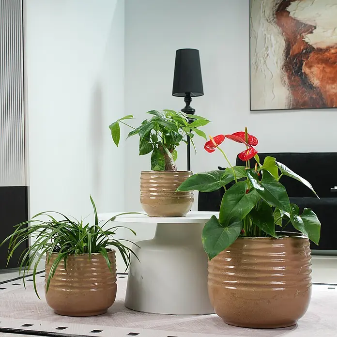SONNENH Pflanztopf - 3 Stk., Keramik, Braun - Drei dekorative braune Keramik-Pflanztöpfe mit gerillter Textur, mit grünen Pflanzen, in einem modernen Wohnzimmer.