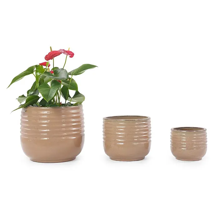 SONNENH Pflanztopf - 3 Stk., Keramik, Braun - Set aus drei gerippten, beige-braunen Keramik-Pflanztöpfen in verschiedenen Größen, einer mit einer roten Anthurie.