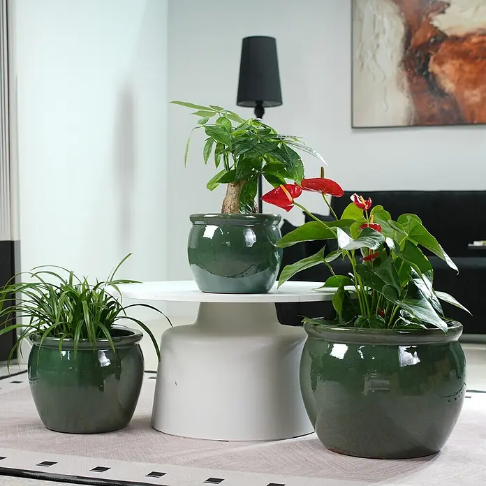 SONNENH Pflanztopf - 3 Stk., Keramik, Grün - Drei glänzende dunkelgrüne Keramik-Pflanzgefäße unterschiedlicher Größe mit Pflanzen, arrangiert in einem modernen Wohnzimmer.