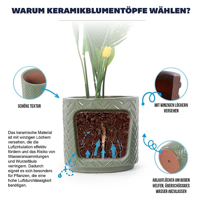 SONNENH Pflanztopf - 1 Stk., Keramik, Grün - Grüner, strukturierter Keramik-Blumentopf mit Pflanze, hebt poröses Material und Drainageloch für optimale Pflanzengesundheit hervor.