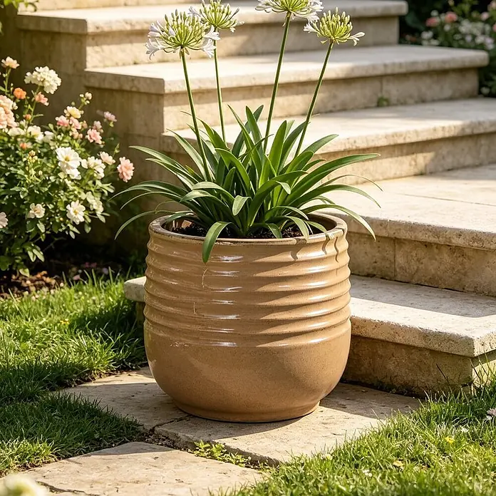SONNENH Pflanztopf - 1 Stk., Keramik, Braun - Ein gerippter, glasierter beigefarbener Keramik-Pflanztopf mit einer Pflanze und weißen Blüten, der draußen auf Steinplatten steht.