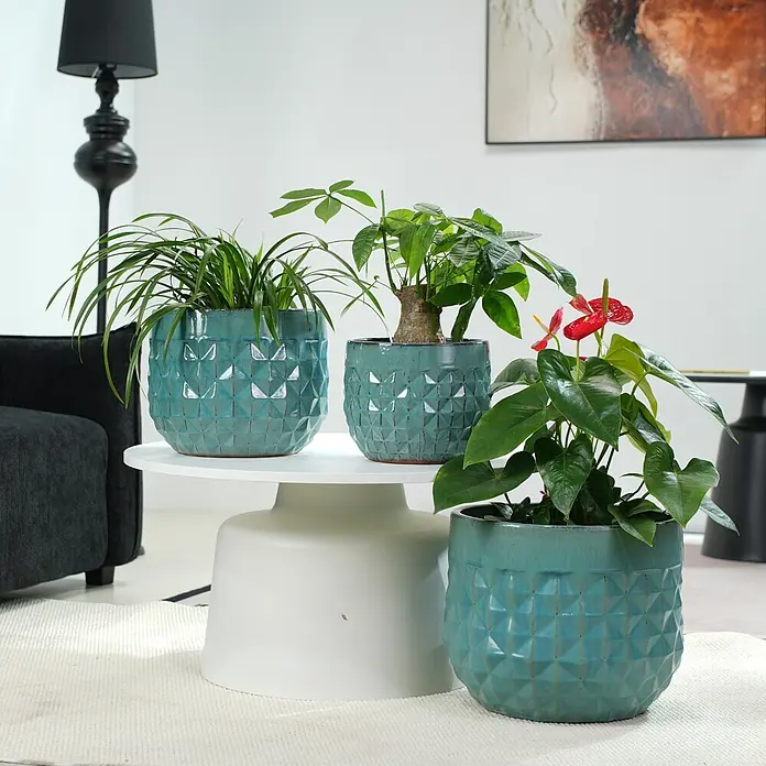 SONNENH Pflanztopf - 3 Stk., Keramik, Blau - Drei türkisfarbene, geometrisch strukturierte Keramik-Blumentöpfe mit verschiedenen Grünpflanzen in modernem Interieur.