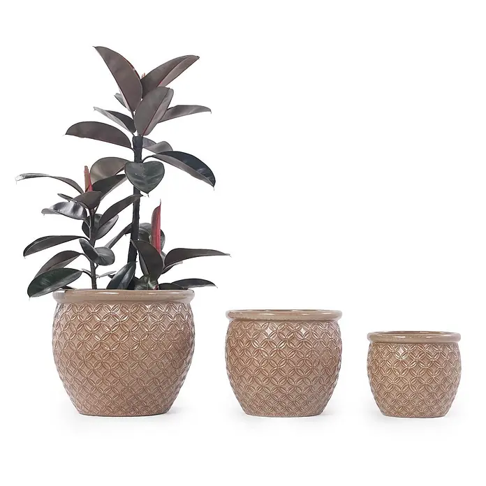 SONNENH Pflanztopf - 3 Stk., Keramik, Beige - Set aus drei beigefarbenen Keramik-Pflanzgefäßen mit geometrischem Muster, eines mit einer dunkelblättrigen Pflanze.