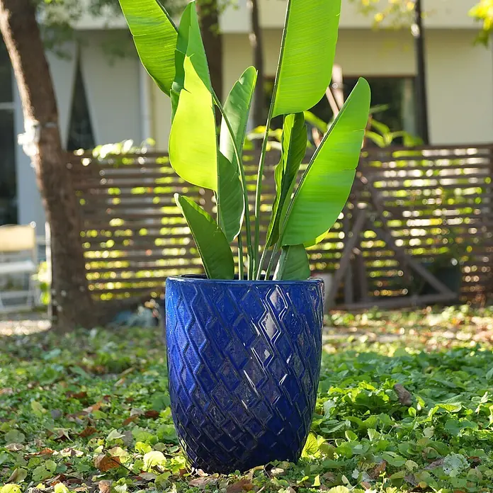 SONNENH Pflanztopf - 1 Stk., Außenmaß (Ø x H): 42 x 54 cm, Keramik, Blau - Blauer Keramik-Pflanztopf mit rautenförmigem Muster, mit einer großen Grünpflanze im Freien auf Gras.