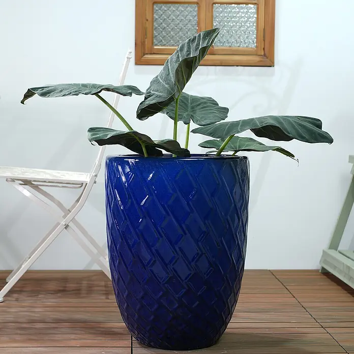 SONNENH Pflanztopf - 1 Stk., Außenmaß (Ø x H): 42 x 54 cm, Keramik, Blau - Großer blauer Keramikpflanztopf mit geometrischer Textur, der eine Pflanze enthält, auf Holzboden stehend.