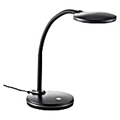 LED namizna svetilka Carmen  (150 x 132 x 320 mm, Črna, Toplo bela) | Svetilke za pisalno mizo | Pisarniški material | Dekoracija stanovanja | Izdelki | BAUHAUS