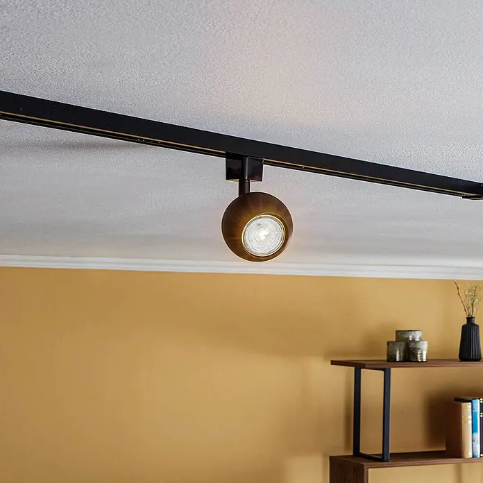 Prios LED-Spannseilsystem Felipo - schwarz, schwarz - Ein bronzefarbener, kugelförmiger Strahler an einer schwarzen Deckenschiene beleuchtet einen Raum.