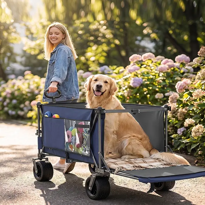 SONNENH Bollerwagen - L x B x H: 131 x 66 x 115,5 cm, Traglast: 250 kg, Stahl - Ein Golden Retriever sitzt glücklich in einem blauen faltbaren Bollerwagen, der von einer lächelnden Frau auf einem sonnigen Weg gezogen wird, mit Hundespielzeug.