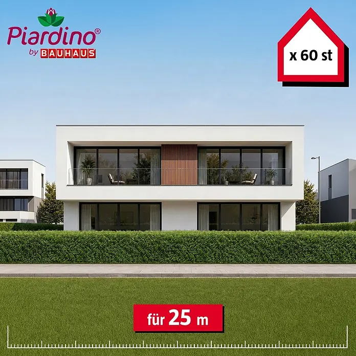 Piardino Liguster - 100 cm - 125 cm, Ligustrum ovalifolium, 60 Stk. - Heckenpflanzen-Set für 25 Meter Hecke mit 60 Pflanzen.