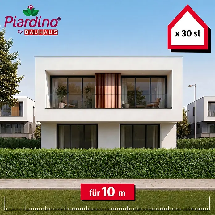 Piardino Liguster - 100 cm - 125 cm, Ligustrum ovalifolium, 30 Stk. - Grüne Hecke vor modernen Häusern, verkauft in 30 Stück für 10 Meter.