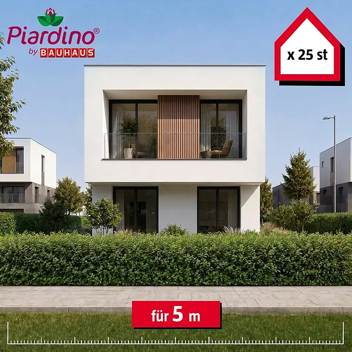 Piardino Liguster - 60 cm - 80 cm, Ligustrum ovalifolium, 25 Stk. - 25 grüne Heckenpflanzen für 5 Meter, als Hecke vor einem modernen Gebäude dargestellt.