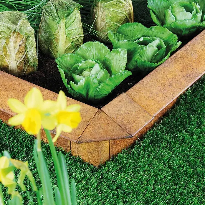 Bellissa Schneckenblech Corten - Cortenstahl, Rost, 100 x 20 cm - Gartenbeet-Einfassung aus rostigem Metall mit Eckverbindung umschließt ein Hochbeet mit frischem Salat und Gemüse.