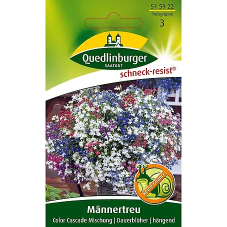 Quedlinburger SAATGUT  Blumensamen Männertreu