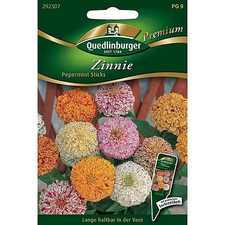 Quedlinburger SAATGUT  Blumensamen Zinnie