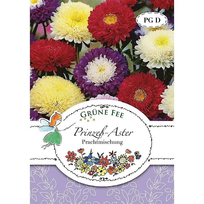 Grüne Fee Blumensamen Aster - Callistephus chinensis (L.) Nees, Mehrfarbig - Samenpackung 'Grüne Fee Prinzeß-Aster Prachtmischung' mit Feenillustration und bunten Asternblüten.