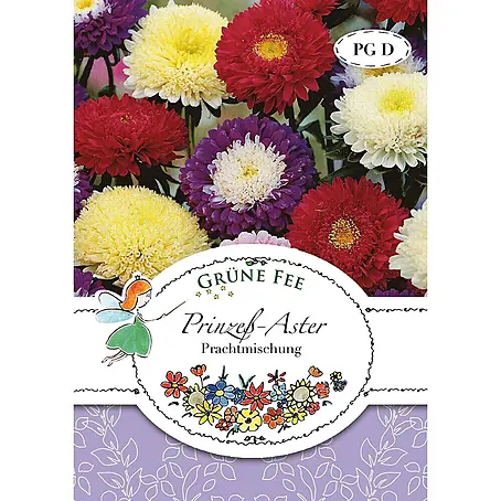 Grüne Fee  Blumensamen Aster