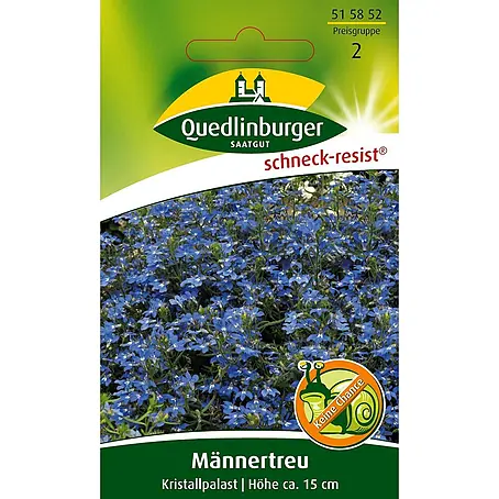 Quedlinburger SAATGUT Männertreu Kristallpalast