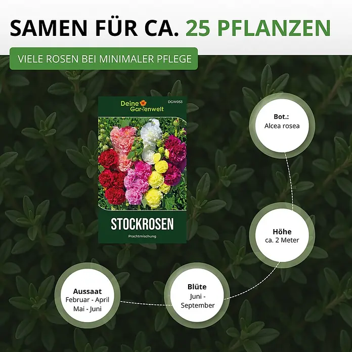 Deine Gartenwelt Stockrosen Prachtmischung -  - Saatguttüte für ca. 25 Stockrosen (Alcea rosea) mit Infos zu Aussaat, Blütezeit und Höhe.