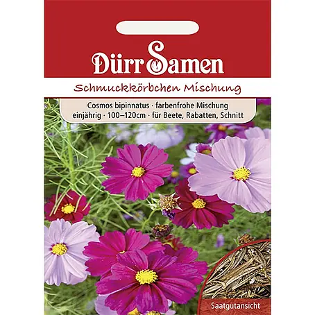 Dürr Samen  Blumensamen Cosmea