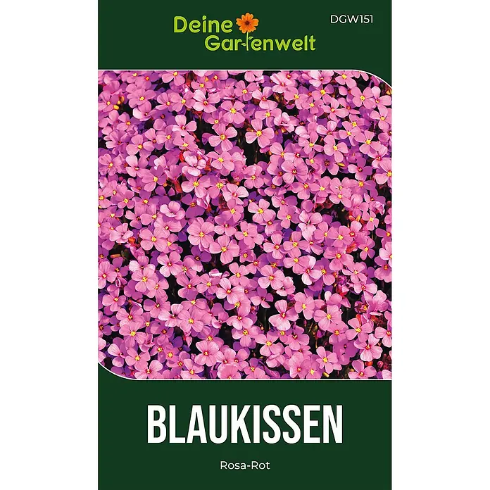 Deine Gartenwelt Blaukissen Rosa-Rot -  - Samentüte für rosa-rote Blaukissen-Blumen, 'BLAUKISSEN Rosa-Rot'.