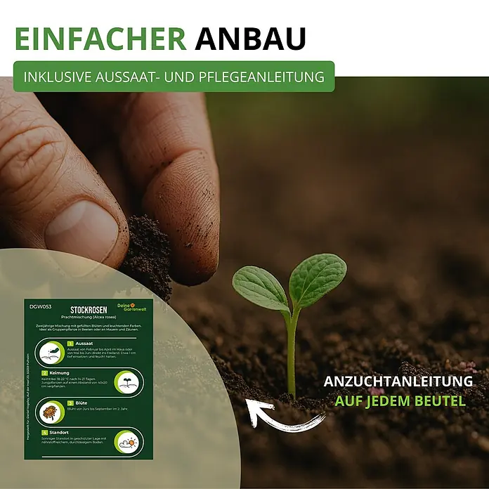 Deine Gartenwelt Stockrosen Prachtmischung -  - Stockrosen-Samenpackung mit einfacher Anbauanleitung, gezeigt mit pflanzender Hand und Keimling.