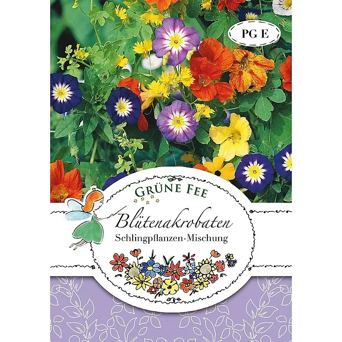 Grüne Fee Blumensamenmischung Mischung - Mischung, Mehrfarbig - Samenpackung für 'Grüne Fee Blütenakrobaten' Schlingpflanzen-Mischung mit bunten Prunkwinden, Kapuzinerkressen und Feen-Illustration.