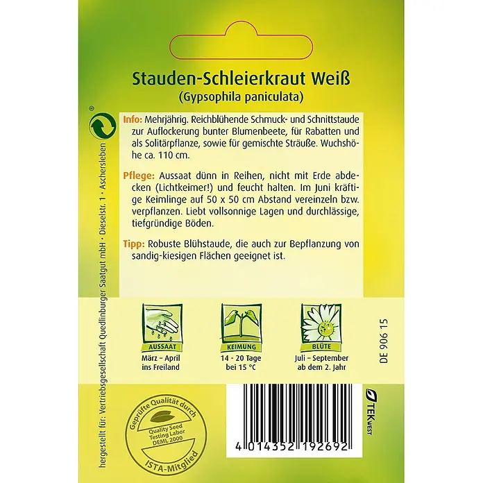 Quedlinburger SAATGUT Blumensamen Schleierkraut - Gypsophila elegans M. Bieb., Weiß - Samentüte für weißes Stauden-Schleierkraut mit Pflanzanleitung, Zeitleisten-Symbolen und Barcode auf grün-gelbem Design.